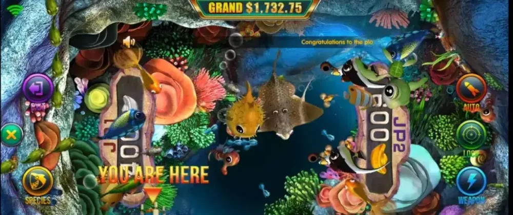 Cover image for Discover Coding Support and Arcade Fun: Join CodeNewbie & Explore Fire Kirin Online