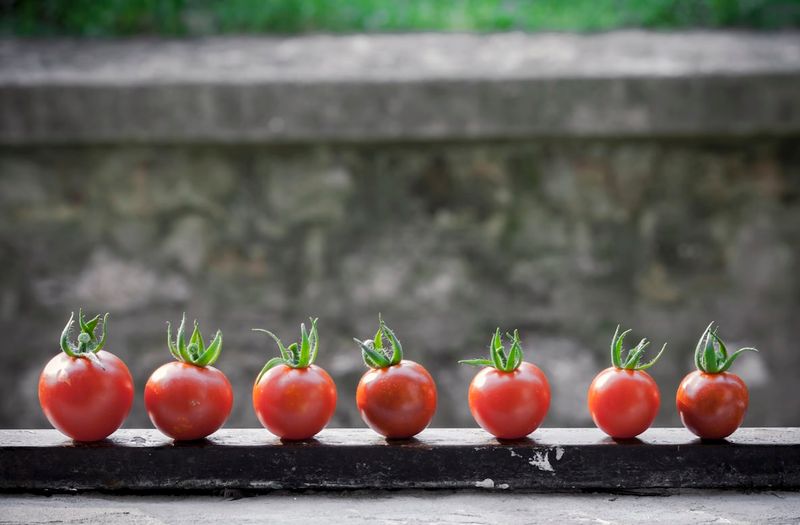 Tomatoes lined up on a window shelf in front of a blurred background