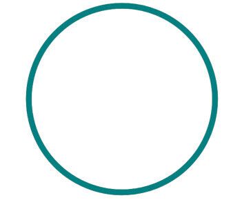 circle-full