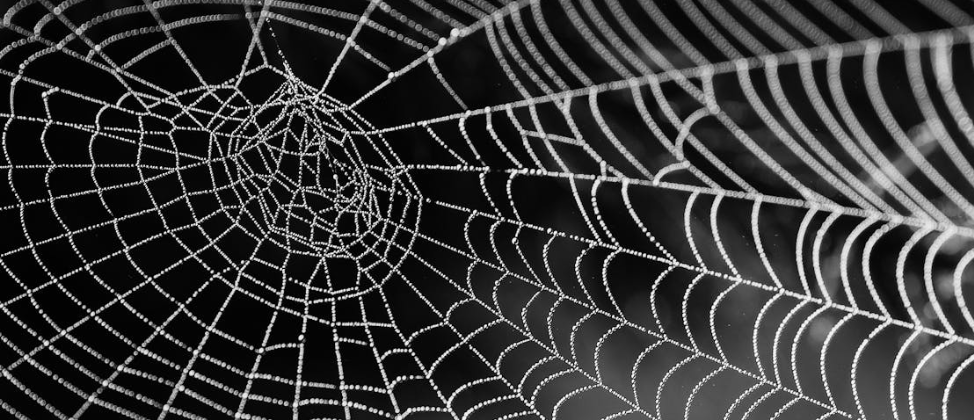 Cover image for Choosing Between C# and JavaScript for Web Scraping