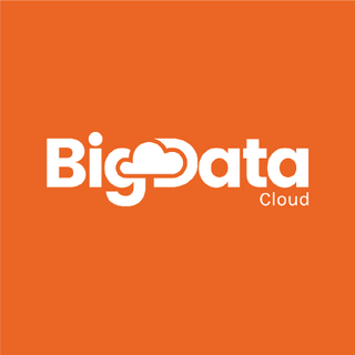 BigDataCloud profile picture