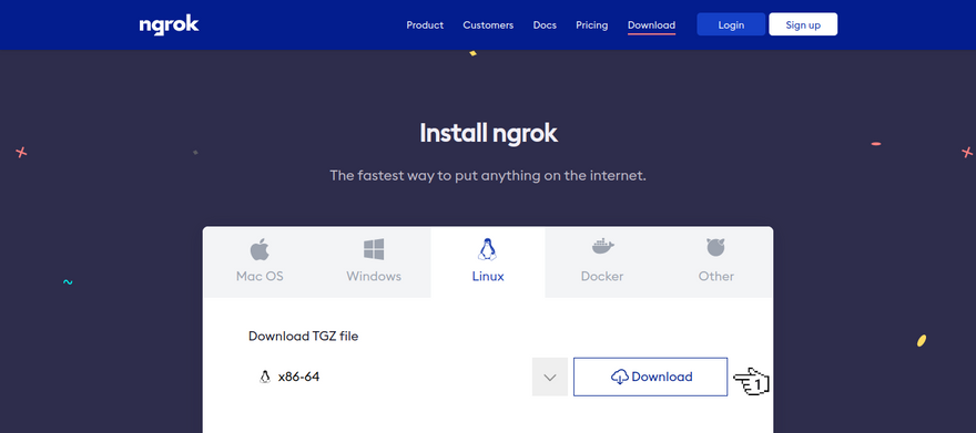 ngrok - Download