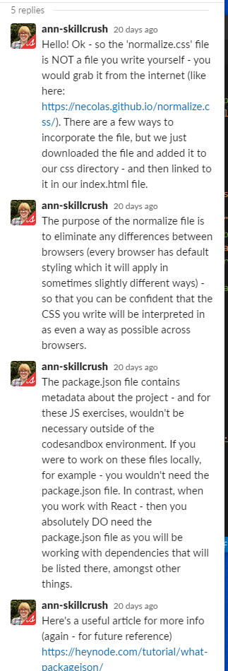 Ann breaks it down to explain normalize files and json packages