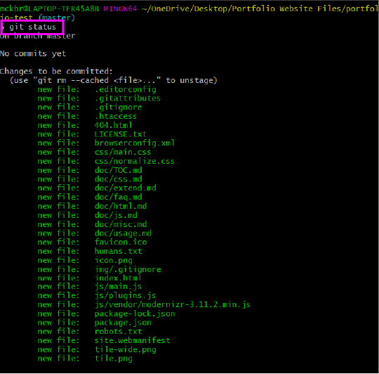 a screenshot of the Git Bash terminal