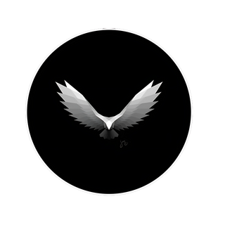 spiriteagledev profile picture