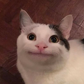 Asher219 profile picture