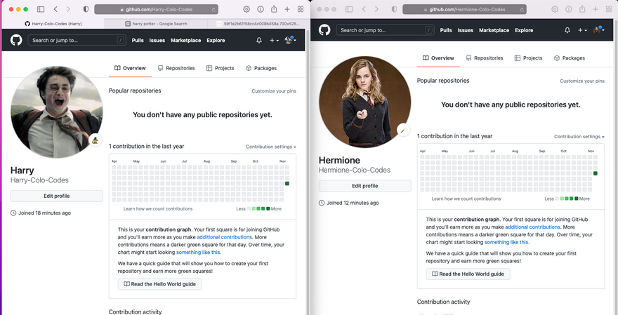 Harry and Hermione GitHub accounts