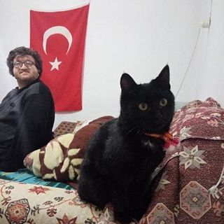 HARUN PEHLİVAN profile picture