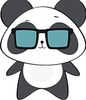 kumar_20 profile image
