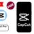 capccut profile image
