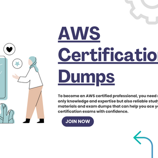 AWS Exam Dumps profile picture