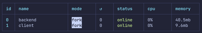 PM2 status watchlist app backend and client servers online