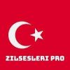 zilsesleripro profile image