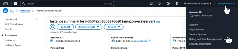 Amazon EC2 - Menu Billing and Cost Management