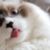 louisa487 profile image
