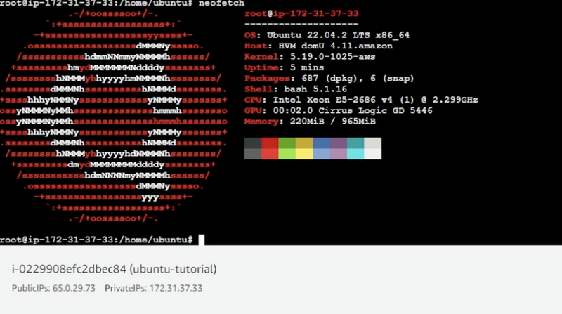 aws-neofetch