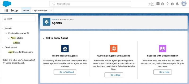 Salesforce Agents