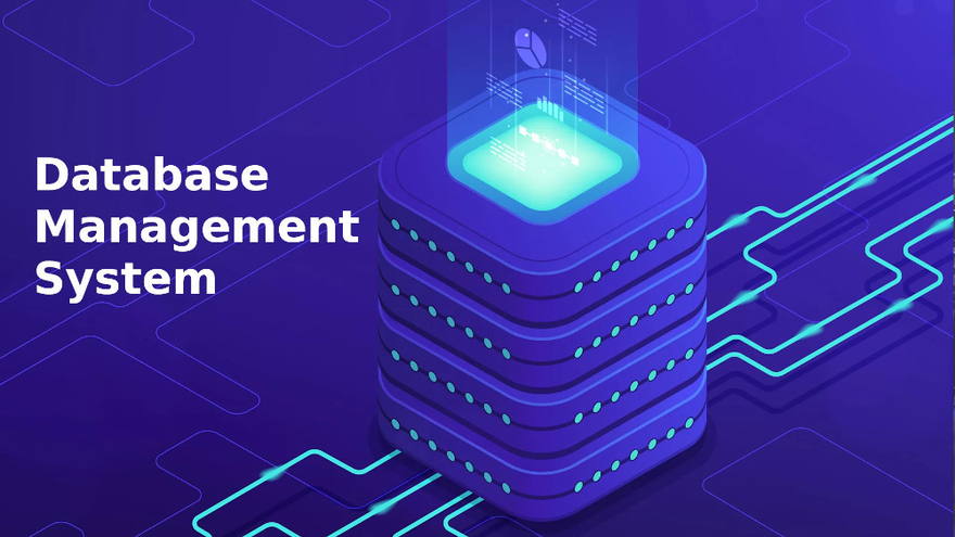 Database Management System