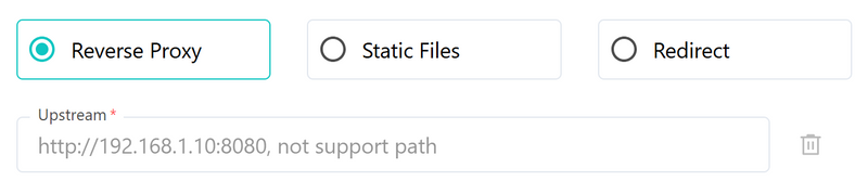 Reverse Proxy Modes