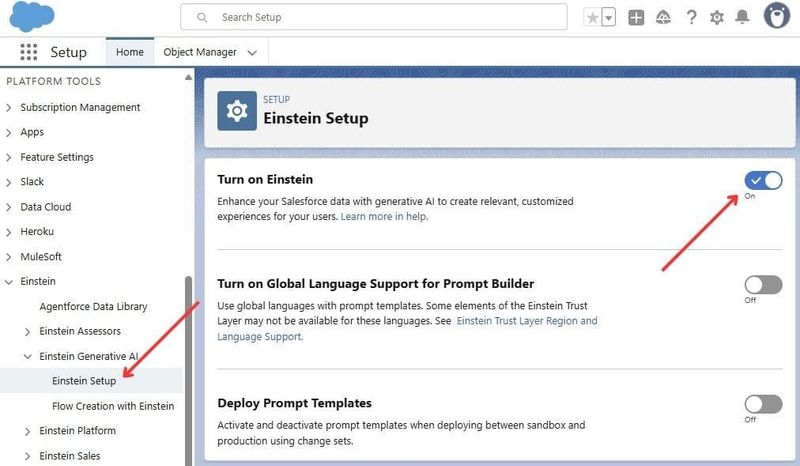 Einstein Setup in Salesforce Org