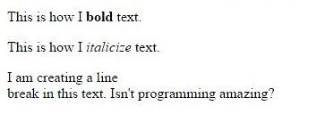This is how I bold text. This is how I italicize text. I am creating a line break in this text. Isn't programming amazing?