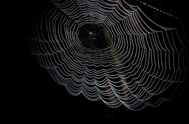Cover image for How the Web Works