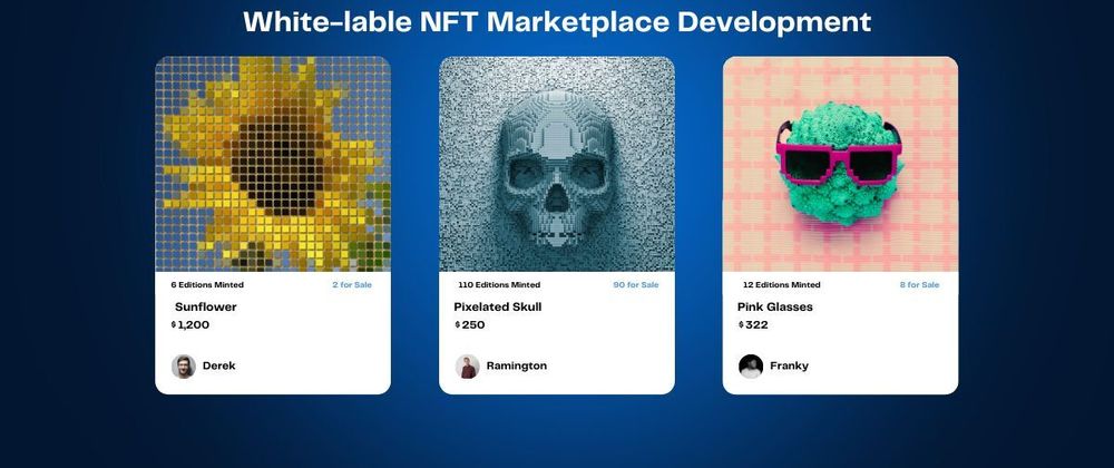 Cover image for What are Some White-label NFT Marketplace Development Solutions