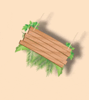 Cover image for CSS Tip : how to make your img levitate