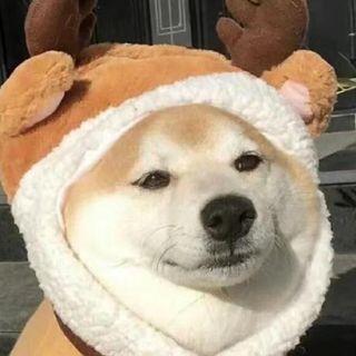 henrygallen profile picture