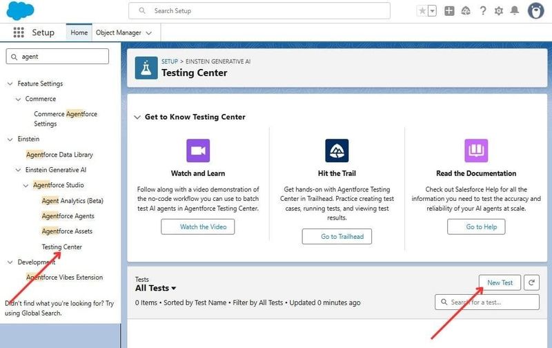 Agentforce Testing Center in Salesforce Org Setup