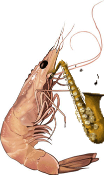 saxophone
