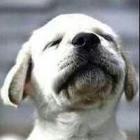 Nzybwzy profile picture
