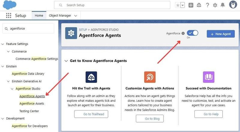 Agentforce Agents in Salesforce Org Setup