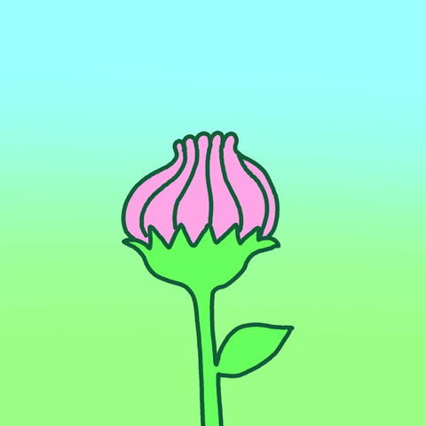 A cartoon flower opens up and exposes a bee relaxing on it's side... the bee is smiling and says "hey"