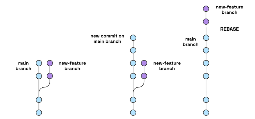 Branches example