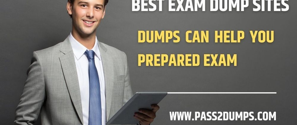 Cover image for "Acing Exams in 2024: Your Path through the Best Dump Sites"