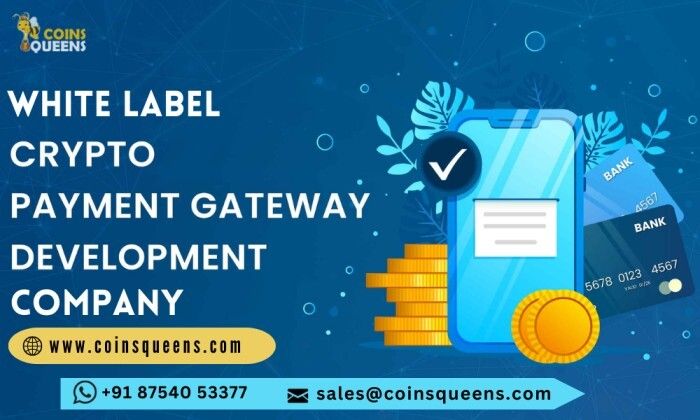 Cover image for Build your Crypto Payment Gateway Platform to make Great Revenue