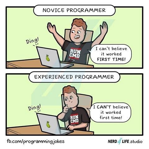 Novice vs experienced programmer