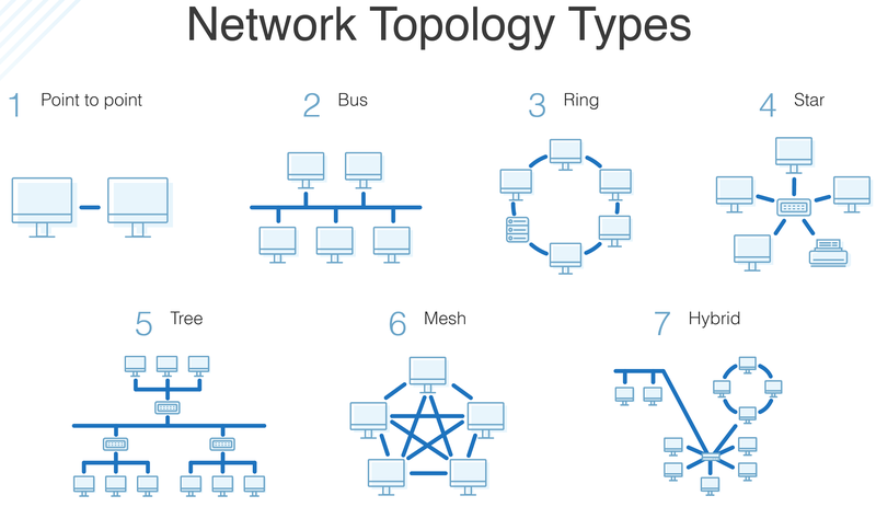 computer-networking-network-topologies-anamika