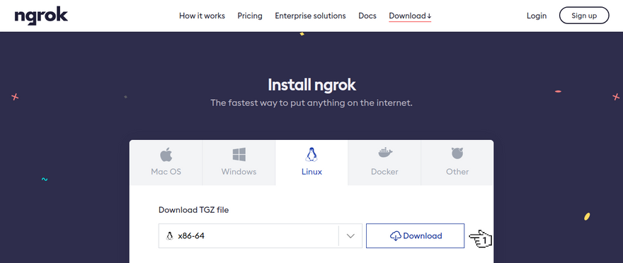 ngrok - Download
