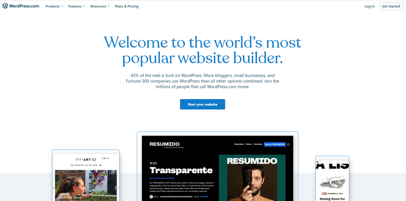 wordpress1