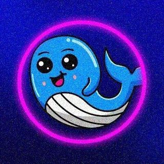 Mr Whale 🐳܁ᅠᅠᅠᅠᅠᅠᅠᅠᅠᅠᅠᅠᅠᅠᅠᅠᅠᅠᅠᅠᅠᅠᅠᅠᅠᅠᅠᅠᅠᅠᅠᅠᅠᅠᅠᅠᅠ܁ profile picture