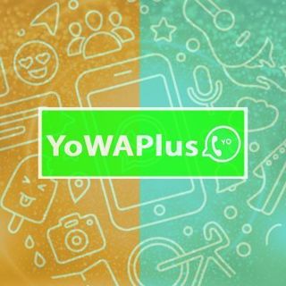 YoWAPlus profile picture