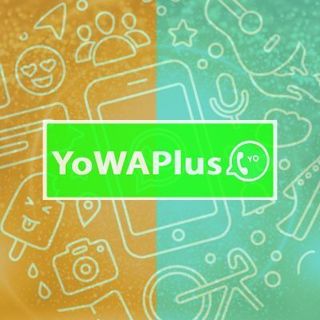 YoWAPlus profile picture