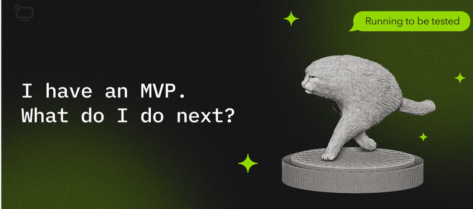 Cover image for What Should Come After The 1st MVP Release For It to Be a Success?