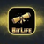 shone900 profile image