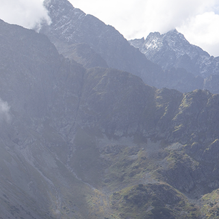 seoman profile picture