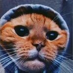 Robz profile picture