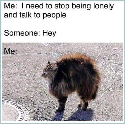 Cat thinks he should stop being lonely and talk to people. But when people walks to him and say hi, his hair stood up