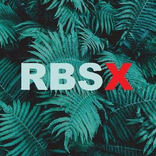 rbsx profile picture
